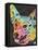 Corgi-Dean Russo-Framed Stretched Canvas