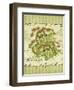 Coriander-Kate Ward Thacker-Framed Giclee Print