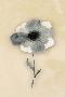 Just the Print