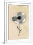 Gramercy White