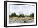 Black Frame