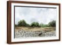 Brown Frame