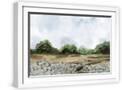 White Frame