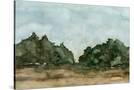 Stretched Canvas
