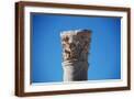 Brown Frame