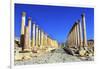 Corinthian Columns, Jerash, Jordan.-William Perry-Framed Photographic Print