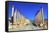 Corinthian Columns, Jerash, Jordan.-William Perry-Framed Stretched Canvas