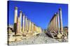 Corinthian Columns, Jerash, Jordan.-William Perry-Stretched Canvas