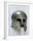 Corinthian Helmet-null-Framed Photographic Print