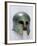 Corinthian Helmet-null-Framed Photographic Print