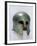 Corinthian Helmet-null-Framed Photographic Print