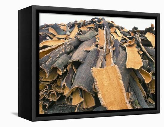 Cork Bark for Bottle Corks Stacked to Dry Near Tempio Pausania, Island of Sardinia, Italy-Michael Newton-Framed Stretched Canvas