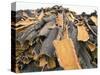 Cork Bark for Bottle Corks Stacked to Dry Near Tempio Pausania, Island of Sardinia, Italy-Michael Newton-Stretched Canvas