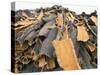 Cork Bark for Bottle Corks Stacked to Dry Near Tempio Pausania, Island of Sardinia, Italy-Michael Newton-Stretched Canvas