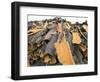 Cork Bark for Bottle Corks Stacked to Dry Near Tempio Pausania, Island of Sardinia, Italy-Michael Newton-Framed Photographic Print