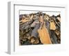 Cork Bark for Bottle Corks Stacked to Dry Near Tempio Pausania, Island of Sardinia, Italy-Michael Newton-Framed Photographic Print