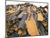 Cork Bark for Bottle Corks Stacked to Dry Near Tempio Pausania, Island of Sardinia, Italy-Michael Newton-Mounted Photographic Print