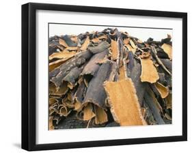 Cork Bark for Bottle Corks Stacked to Dry Near Tempio Pausania, Island of Sardinia, Italy-Michael Newton-Framed Photographic Print