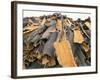 Cork Bark for Bottle Corks Stacked to Dry Near Tempio Pausania, Island of Sardinia, Italy-Michael Newton-Framed Photographic Print