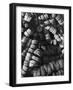 Cork Floats-null-Framed Photographic Print