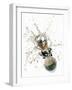 Cork Flying Out of a Sparkling Wine Bottle-Kröger & Gross-Framed Premium Photographic Print