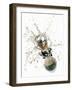 Cork Flying Out of a Sparkling Wine Bottle-Kröger & Gross-Framed Photographic Print