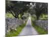 Cork oak in the Alentejo. Portugal-Martin Zwick-Mounted Photographic Print