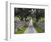 Cork oak in the Alentejo. Portugal-Martin Zwick-Framed Photographic Print