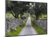 Cork oak in the Alentejo. Portugal-Martin Zwick-Mounted Photographic Print