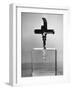 Cork Screw Shaped Tool Was Sunk into the Cavity of This Glass Cube-null-Framed Photographic Print