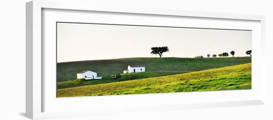 Cork Trees in Alentejo, Portugal-Mauricio Abreu-Framed Photographic Print