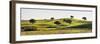 Cork Trees in the Vast Plains of Alentejo. Portugal-Mauricio Abreu-Framed Photographic Print