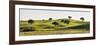 Cork Trees in the Vast Plains of Alentejo. Portugal-Mauricio Abreu-Framed Photographic Print