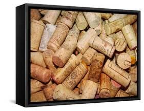 Corks I-Heather A. French-Roussia-Framed Stretched Canvas