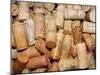 Corks II-Heather A. French-Roussia-Mounted Photographic Print