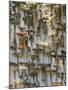 Corkscrew Collection, Vienna, Austria-Walter Bibikow-Mounted Photographic Print