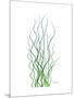 Corkscrew Rush Bluegreen-Albert Koetsier-Mounted Premium Giclee Print