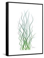Corkscrew Rush Bluegreen-Albert Koetsier-Framed Stretched Canvas