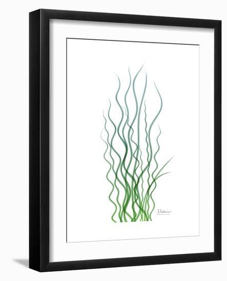 Corkscrew Rush Bluegreen-Albert Koetsier-Framed Premium Giclee Print