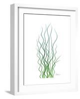 Corkscrew Rush Bluegreen-Albert Koetsier-Framed Premium Giclee Print