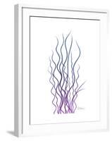 Corkscrew Rush Purple-Albert Koetsier-Framed Premium Giclee Print