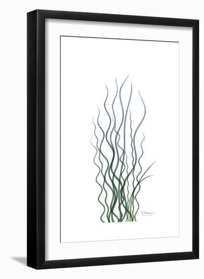 Corkscrew Rush-Albert Koetsier-Framed Premium Giclee Print