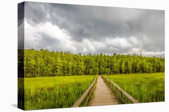 Corkscrew Sanctuary-Dennis Goodman-Stretched Canvas