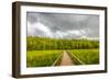 Corkscrew Sanctuary-Dennis Goodman-Framed Photographic Print