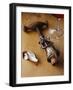 Corkscrew with Cork-null-Framed Photographic Print