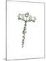 Corkscrew-Wendy Edelson-Mounted Giclee Print