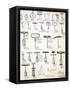 Corkscrews, from a Trade Catalogue of Domestic Goods and Fittings, circa 1890-1910-null-Framed Stretched Canvas