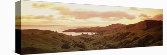 Cormandle Peninsula, New Zealand-null-Stretched Canvas