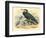 Cormorant and Sandpipers-null-Framed Art Print