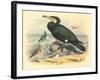 Cormorant and Sandpipers-null-Framed Art Print
